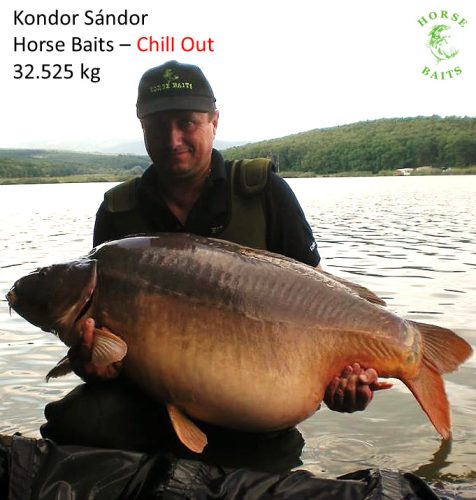 Chili Out - Soft Bojli