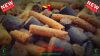 Horse Baits Pellet Mix Halibut & Hot Spices 