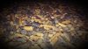 Horse Baits Pellet Mix Halibut & Hot Spices 