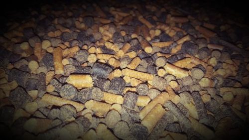 Horse Baits Pellet Mix Halibut & Hot Spices 