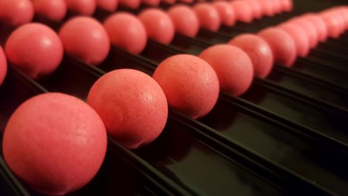 Krill Pop Up - 16mm/50g