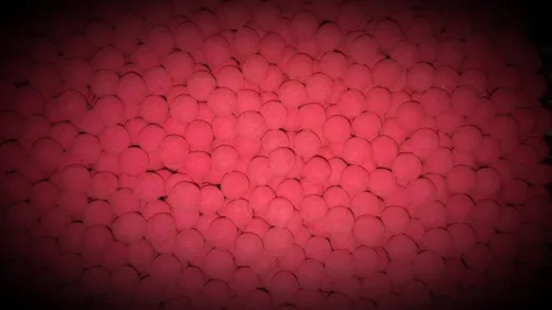 Krill Pop Up - 16mm/50g