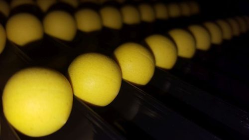 Pineapple & N. Butyric Acid Pop Up - 16mm/50g