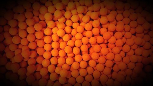 Squid Fruit Pop Up - 16mm/50g