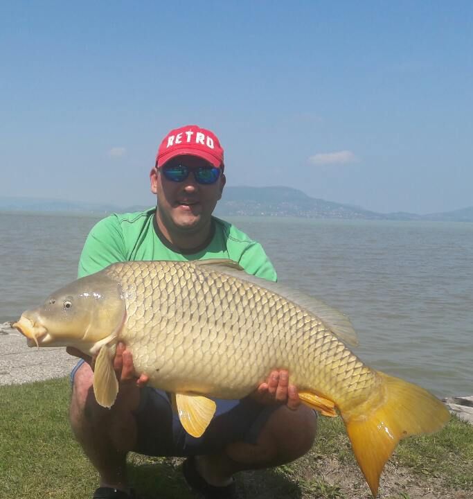 Balaton és a Horse Baits bojlik!