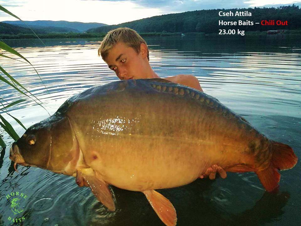Harsány - T-boys carp team Horse Baits bojlikkal